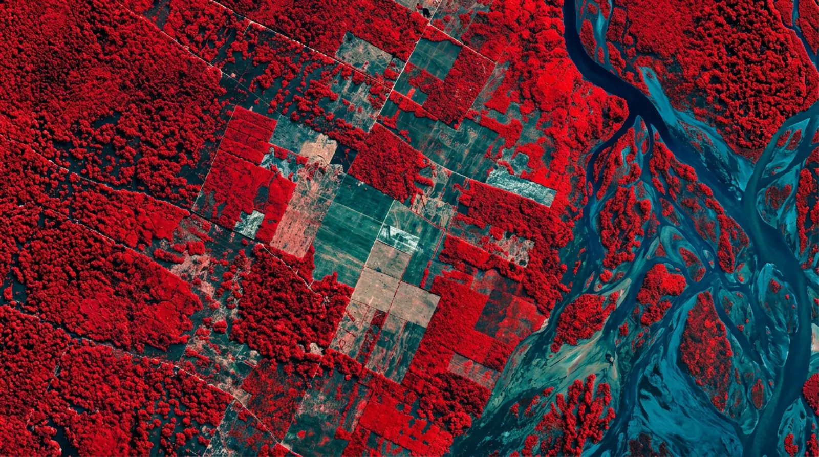 Satellite monitoring capability